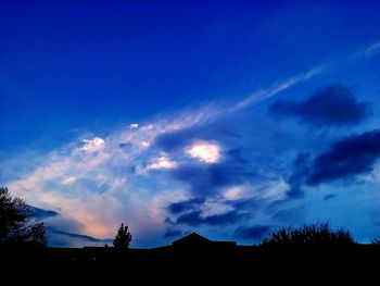 Low angle view of silhouette trees against sky