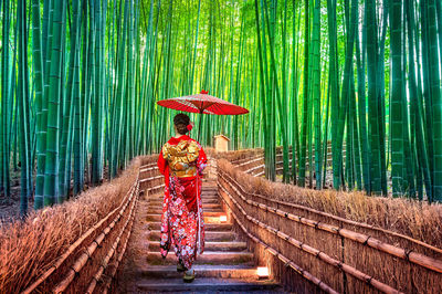 Rear view of woman wearing traditional clothing with umbrella amidst bamboo grove