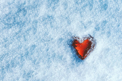 Directly above shot of heart shaped on snow