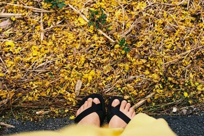 Low section of woman standing by yellow leaves
