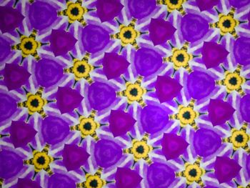 Full frame shot of purple flowers