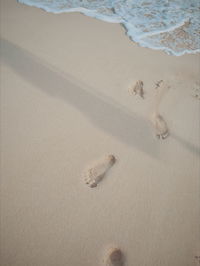 High angle view of footprints on sand at beach