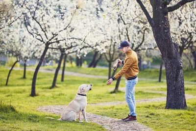 Side view of man playing with dog on grassy field