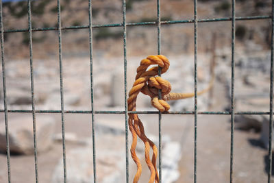 Close-up of rope tied to metal fence