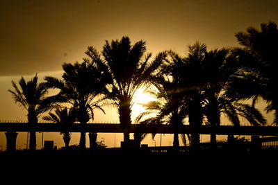 Silhouette palm trees against sky during sunset