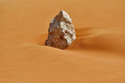 Close-up of rock on table