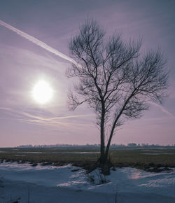 Bare tree on snow covered field against sky at sunset