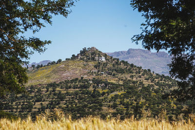 Scenic view of field against clear sky