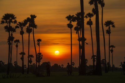 Silhouette palm trees against orange sky during sunset