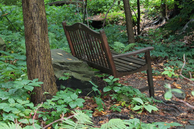 Empty bench in forest