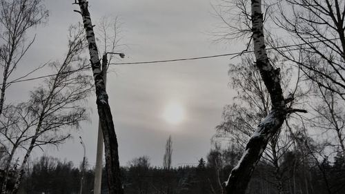 Low angle view of bare trees against sky
