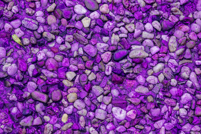 Full frame shot of purple candies