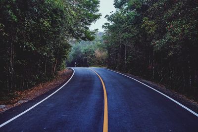 Empty road by trees in forest