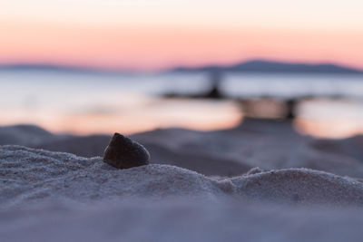 Close-up of snow on beach