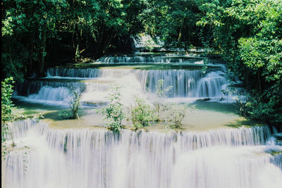 Scenic view of waterfall in forest