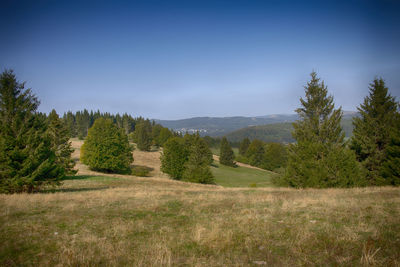 Scenic view of landscape against clear sky