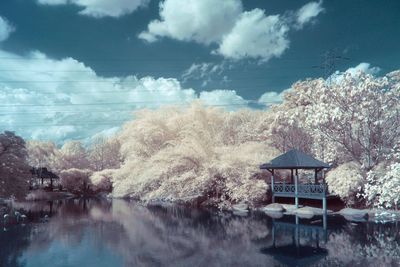 Reflection of trees in water