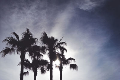 Low angle view of silhouette palm trees against sky