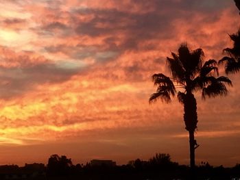 Silhouette palm trees against dramatic sky during sunset