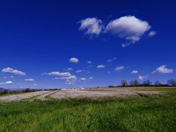 Scenic view of field against blue sky