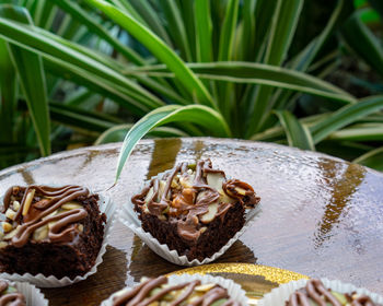 Chocolate brownie cubes with chocolate drizzle in paper cups on a wooden background.