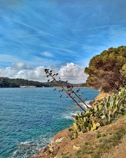 Scenic view of sea against sky