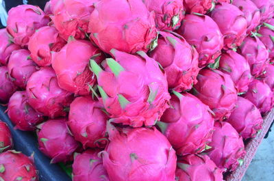 Full frame shot of pink flowers in market