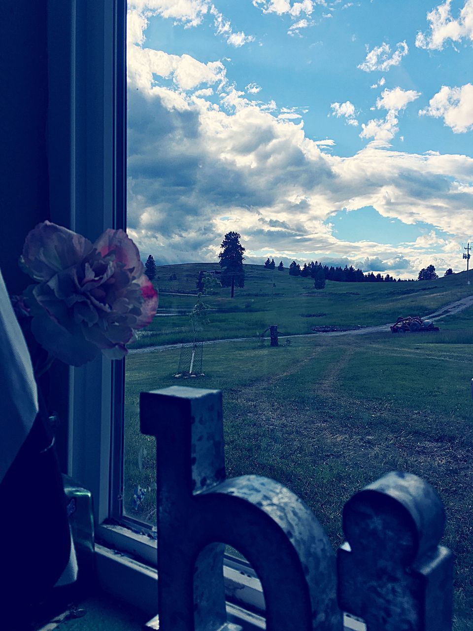 cloud - sky, flower, sky, nature, beauty in nature, day, outdoors, one person, real people, people