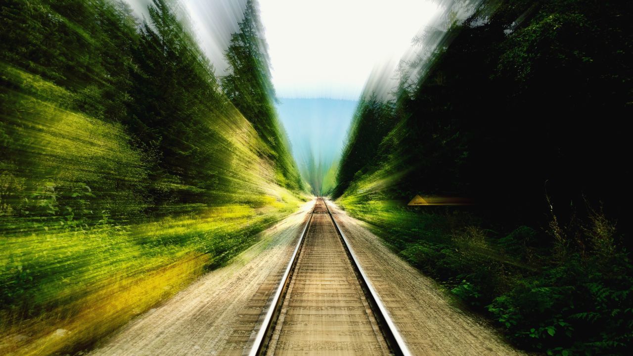 RAILROAD TRACKS AMIDST TREES