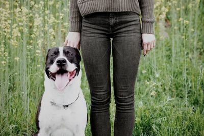 Dog standing on field next to his human