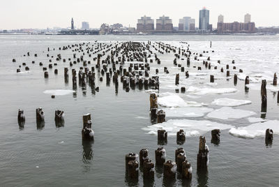 View of buildings in the water