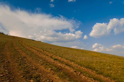 Scenic view of agricultural field against sky