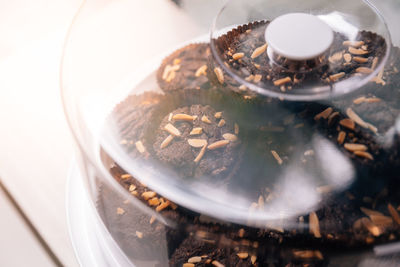 High angle view of coffee cup on table