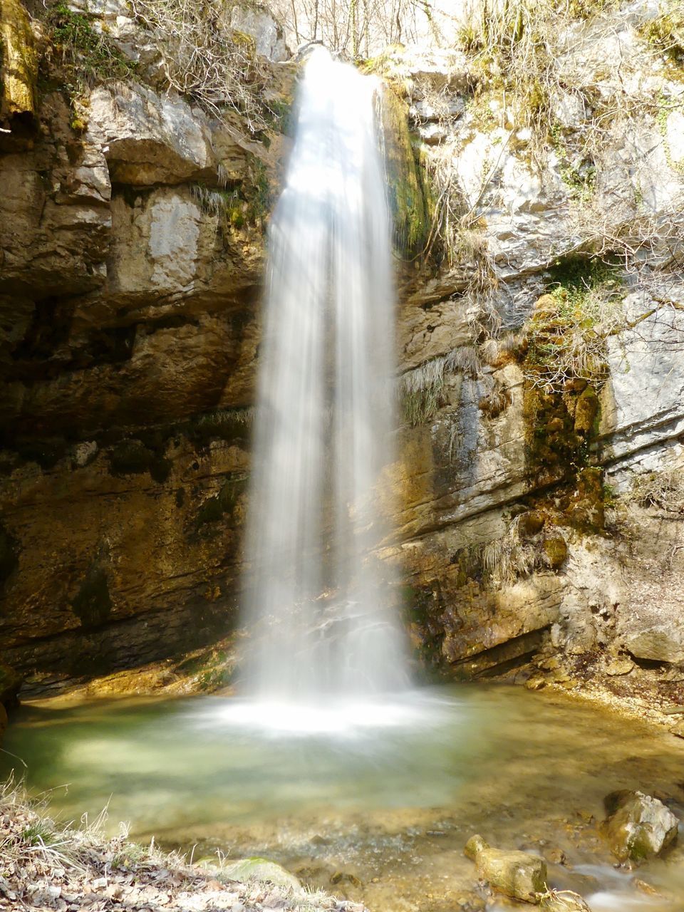 WATERFALL IN FOREST