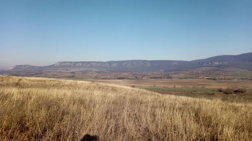 Scenic view of landscape against clear sky