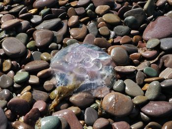 Full frame shot of pebbles in sea