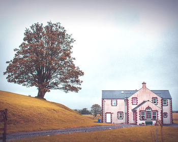 Tree on field by building against sky