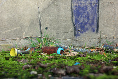 Rusty spray cans on mossy ground in front of a wall