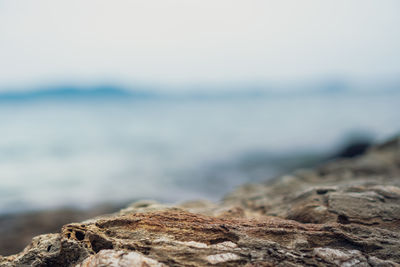 Close-up of rocks on beach against sky