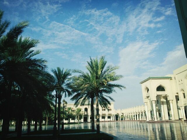 architecture, built structure, building exterior, tree, sky, palm tree, low angle view, cloud - sky, cloud, day, sunlight, outdoors, blue, building, no people, city, growth, nature, architectural column, incidental people