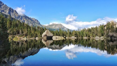 Reflection of trees in lake