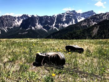 Cow grazing on field against mountains