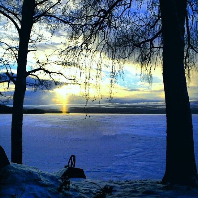 tree, water, tranquility, tranquil scene, scenics, sunset, silhouette, beauty in nature, tree trunk, sun, nature, sky, idyllic, sea, branch, bare tree, lake, horizon over water, vacations, non-urban scene