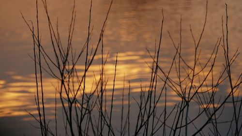 Scenic view of landscape against sky at sunset