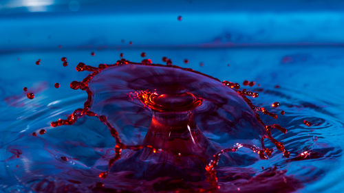 Close-up of splashing red water