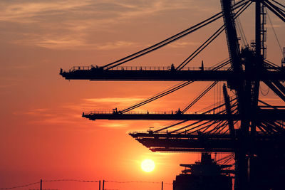 Silhouette of cranes at sunset