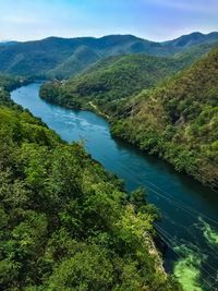 High angle view of river amidst trees