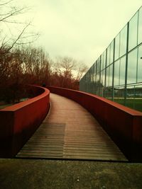 Footbridge leading to bare trees