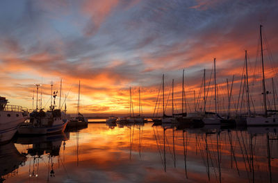 Sailboats moored at harbor during sunset