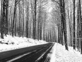 Road amidst snow covered trees in forest